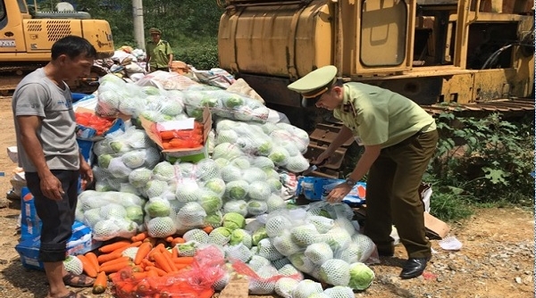 Nghệ An: Phát hiện và bắt giữ hơn 1 tấn rau, củ không xuất xứ