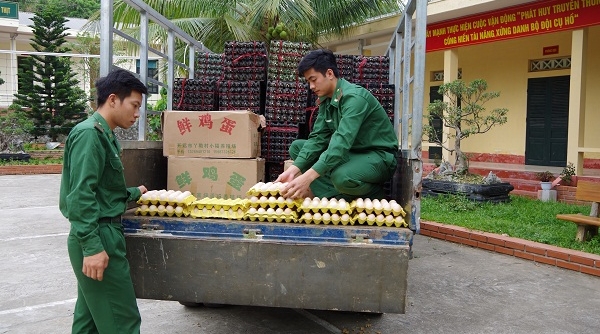 Lào Cai: Bắt vụ vận chuyển 24 nghìn quả trứng gia cầm lậu