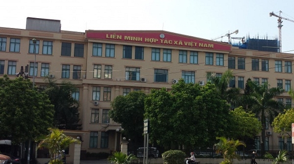 PCT Liên minh HTX Việt Nam bị "tố" sử dụng con dấu trái thẩm quyền