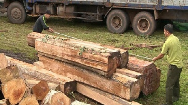 Các Hiệp hội ngành Gỗ Việt Nam cam kết không sử dụng gỗ bất hợp pháp