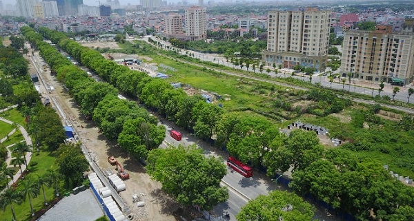 Bí thư Hà Nội nói về việc chặt hạ, di chuyển 1.300 cây xanh