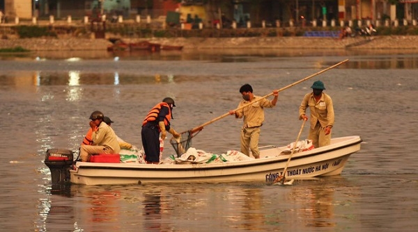 Hà Nội: Cá lại chết trên hồ Hoàng Cầu