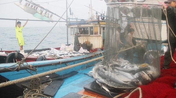 Dừng khai thác hải sản vùng đáy ở 4 tỉnh miền Trung