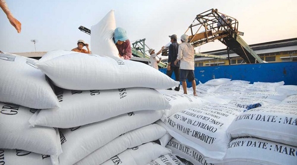 Việt Nam trúng thầu 175.000 tấn gạo xuất khẩu sang Philippines
