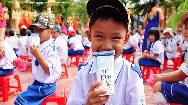 Sữa học đường: Kế hoạch ngắn cho trăm năm trồng người của bà Thái Hương