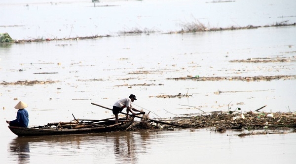 Phú Thọ: Coi thường tính mạng, người dân đua nhau vớt củi trên sông khi nước dâng cao