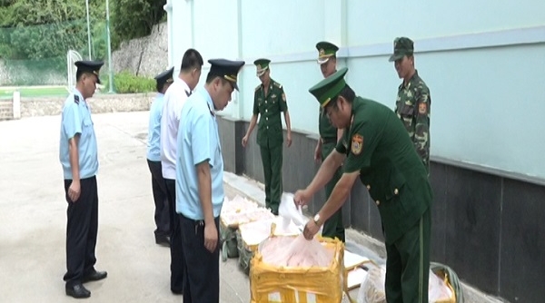 Lạng Sơn: Bắt giữ 250 kg nầm lợn không rõ nguồn gốc