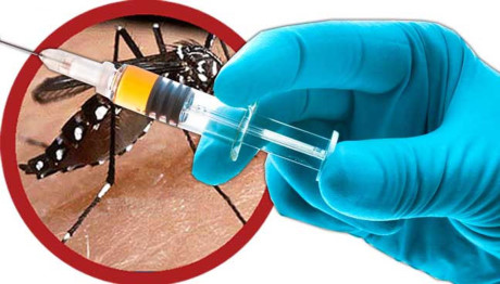 Năm 2018, Việt Nam sẽ có vắc xin phòng bệnh sốt xuất huyết