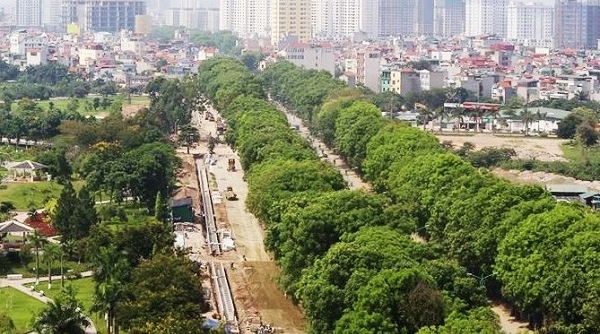 Ngày mai, gần 1300 cây xanh trên đường Phạm Văn Đồng sẽ được chặt hạ, di dời