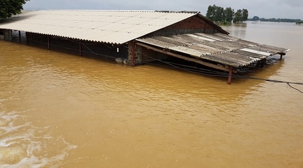 Hà Nội: Hỗ trợ hơn 6 tỷ đồng cho các địa phương khắc phục hậu quả mưa lũ