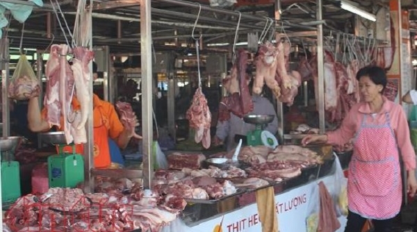 Lợn không đủ điều kiện truy xuất vẫn vào chợ đầu mối tại TP Hồ Chí Minh