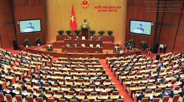 ĐBQH Nguyễn Bá Sơn: "Thời hạn quy hoạch theo chiến lược phát triển của đất nước"
