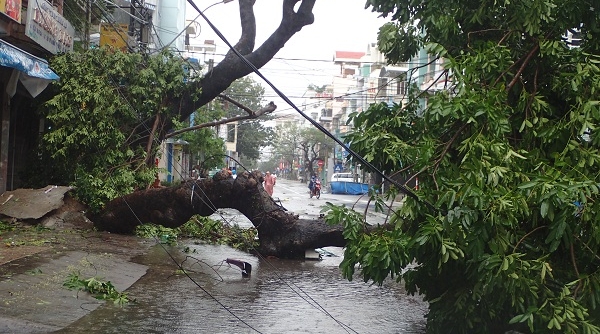 Phóng sự ảnh: Một số hình ảnh thành phố Nha Trang ngay sau cơn bão số 12