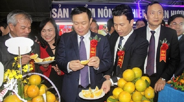 Hà Tĩnh tổ chức Lễ hội cam và các sản phẩm nông nghiệp lần thứ nhất