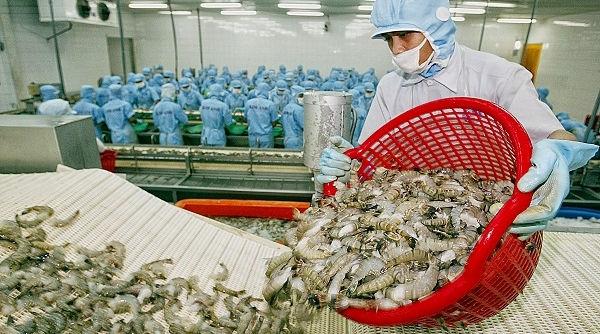 Nâng tầm sản phẩm tôm Việt Nam trên thị trường thế giới