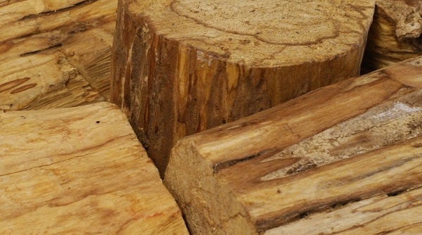 Hải Phòng phát hiện 20m3 khối gỗ thánh không có giấy phép nhập khẩu