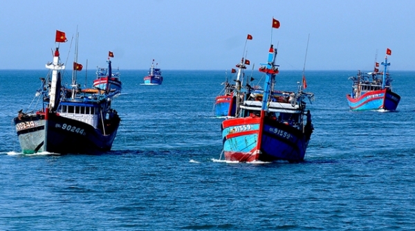 Cần tư nhân hóa phát triển kinh tế biển dưới sự quản lý của nhà nước