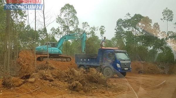 Xã Thanh Đình (Phú Thọ): Đất rừng ngang nhiên bị “xẻ thịt” không phép