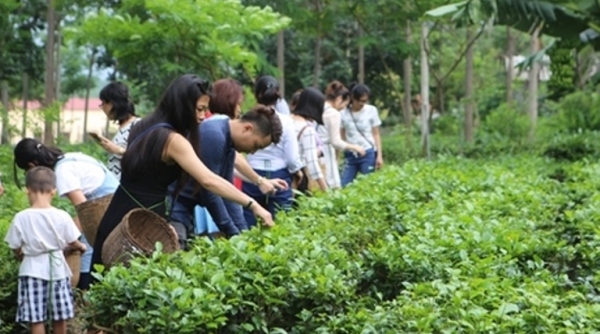 Du lịch nông nghiệp Việt Nam cần tìm những giải pháp để phát triển