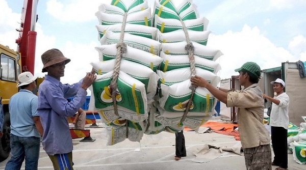 Hỗ trợ gạo cho tỉnh Điện Biên và Hòa Bình