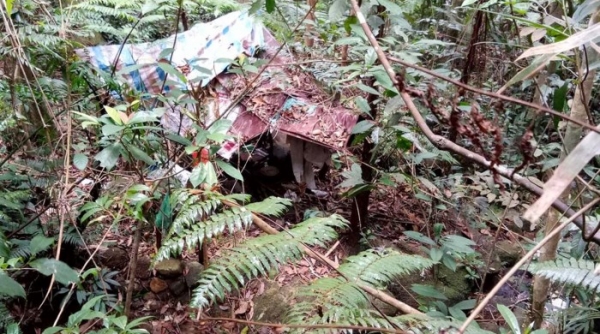 Lâm Đồng: Phát hiện thi thể người đàn ông tử vong tử vong giữa rừng