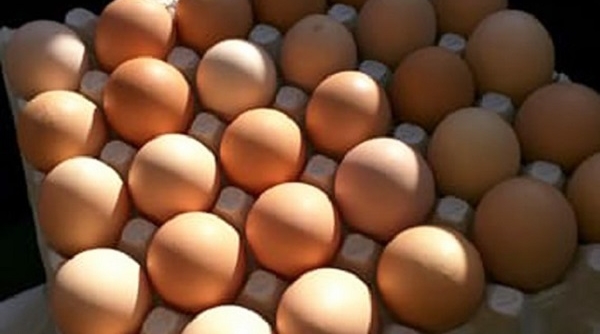 Mỹ: Thu hồi hơn 200 triệu quả trứng gà nghi nhiễm salmonella