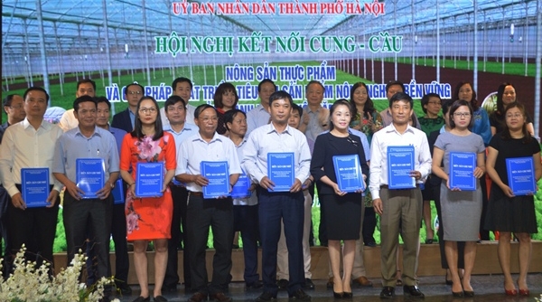 Nhiều giải pháp hỗ trợ tiêu thụ sản phẩm nông nghiệp trên địa bàn Hà Nội