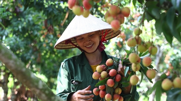 Thương hiệu Việt và những yếu tố cộng hưởng