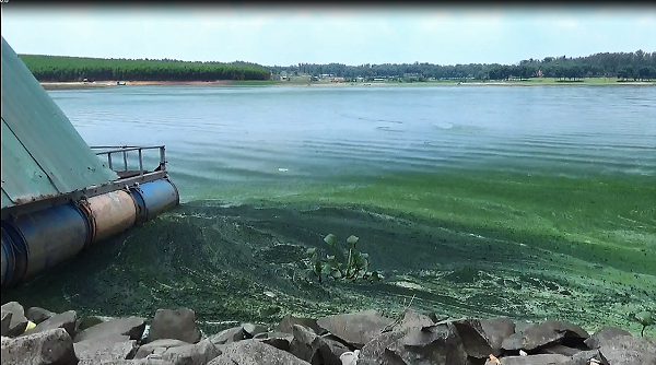 Đồng Nai: Nhiều nỗi lo cho Hồ Sông Mây