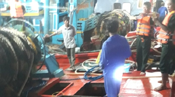 Côn Đảo: 2 tàu mang cá bị tạm giữ vì chứa dầu DO trái phép