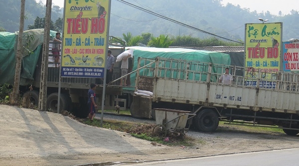 Hà Giang: Khó khăn trong việc xử lý các trường hợp xe quá tải vượt trạm cân