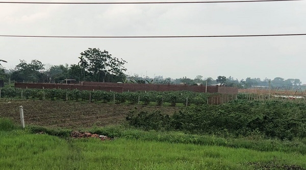 Vĩnh Phúc: Chủ Tịch UBND xã Tân Tiến thừa nhận chính quyền quản lý lỏng lẻo đất đai