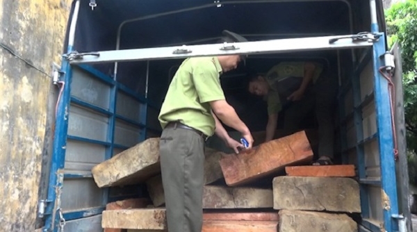 Hà giang: Bắt quả tang đối tượng vận chuyển gỗ trái phép