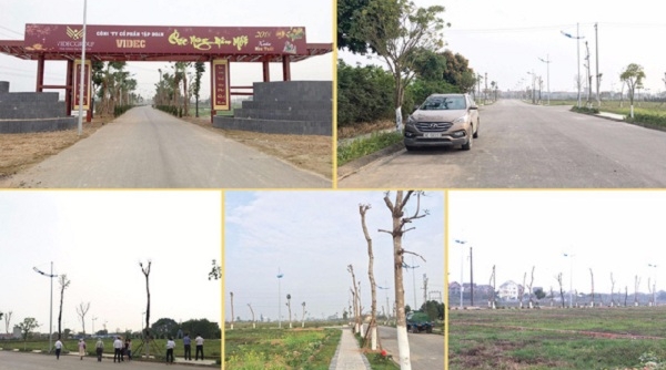 Huyện Mê Linh, TP Hà Nội: VIDEC nỗ lực chuẩn bị khởi công nhà ở cho người thu nhập thấp