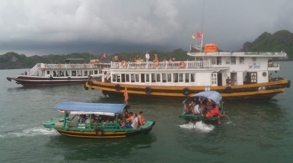 Hải Phòng: Thanh tra hoạt động các phương tiện đường thủy chở khách du lịch