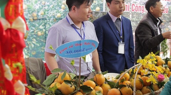 Huyện Nghi Lộc (Nghệ An): KT - XH đạt nhiều kết quả khả quan