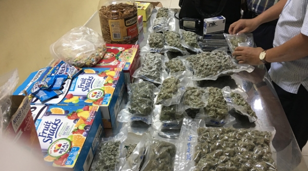 Hải quan Tân Sơn Nhất phát hiện 4 kg cần sa đưa từ nước ngoài về