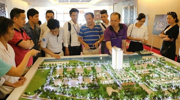 Đà Nẵng: 8 sàn giao dịch bất động sản đã ngừng hoạt động