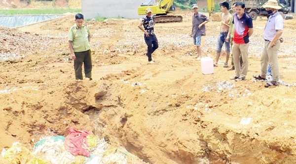 Lào Cai: Tiêu hủy 3 tấn chân gà Trung Quốc vô chủ