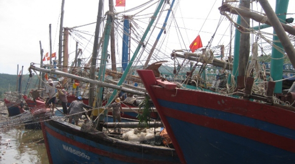 Nghệ An: Một tàu cá ngoài biển khơi vẫn chưa vào bờ tránh bão