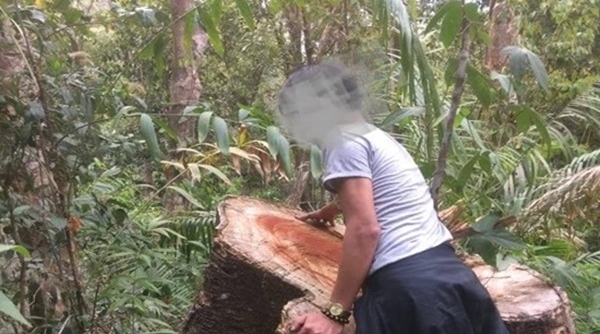Gia Lai: Kỷ luật nhiều cán bộ nhân viên Ban Quản lý rừng phòng hộ Ia Ly