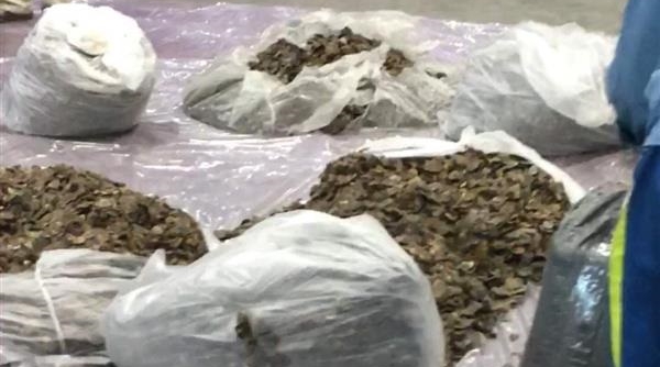Hải Quan: Phát hiện lô hàng chứa hơn 300 kg vẩy tê tê bị chủ hàng 'bỏ rơi'