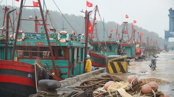 Nghệ An: Ban hành Công điện khẩn để phó với cơn bão số 3