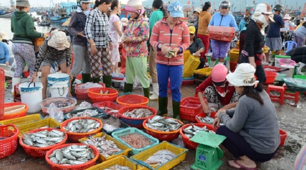 TP Đà Nẵng phê duyệt đề án thí điểm tổ chức bán đấu giá hải sản ở chợ đầu mối