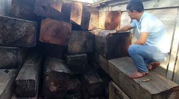 Gia Lai: Phát hiện và bắt giữ container chở gỗ lậu