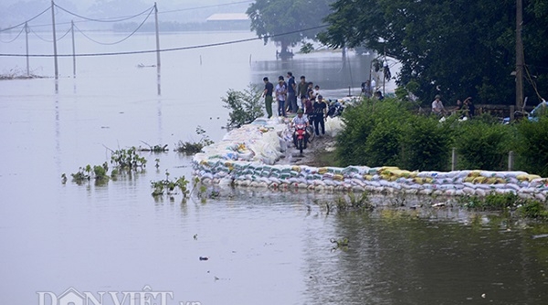 Hà Nội: Hơn 6.000 người phải sơ tán vì nước sông Bùi trên mức báo động 3