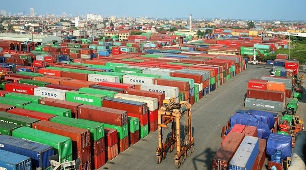 Hàng hóa thông cảng nhiều, Viconship báo lãi quý II tăng 48% so với cùng kỳ