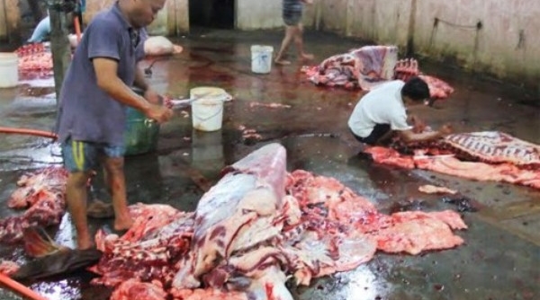 Bắc Giang: Phát hiện hàng chục cơ sở vi phạm an toàn thực phẩm