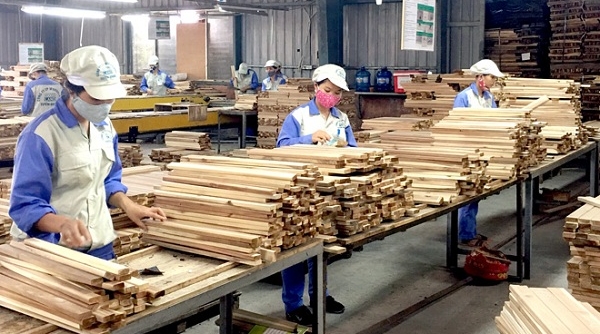 Việt Nam trở thành quốc gia đứng thứ 5 thế giới về chế biến gỗ, lâm sản