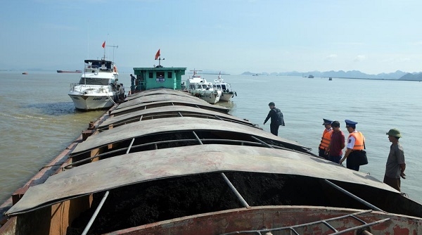 Cảnh sát biển thu giữ 500 tấn than vi phạm